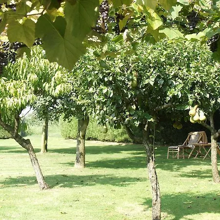 Bed & Breakfast Casa Manuelli 2*